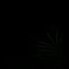 user777.jh