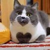 fifi23754