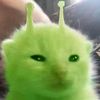 its.leonpi__20