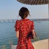 meo_1102