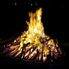 firee_api46