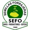 sefosam