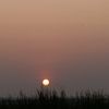 sunshineofficial75