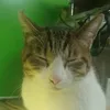 dylyc3soev82