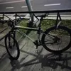 mrdominic26