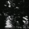 snw13_