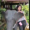 wilaikaewpheng