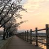 knii_4444