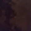 vlad2519