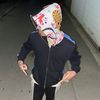 The Real Vannsensei 先生