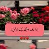areejjibreel24