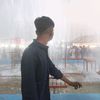 shorob133439