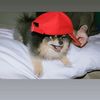 kutangnyaparkjimin23