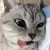 beautifulhumanonearth_