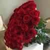 najah1_