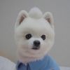 xiaoyi0323
