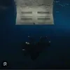 fansbillie72