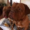 karol_8287