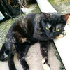 www.alvesoliveira.com