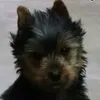 sabrina_uri1986
