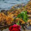 viana.ruth6