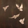 norah_az2