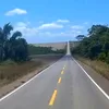 zoedegato79