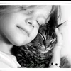 noomaleemeelookmeawmeaw