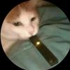 emman_12201