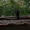 marevr_356