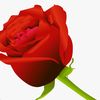 roshan123456u