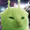 dabodepgai