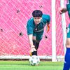 farizhadiyan