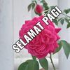 sitimasriah0214