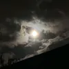 nbee_17