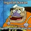 pel_182