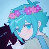 hasuineverywhere