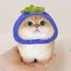 ad_mysrrah
