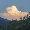 dcygerdudu