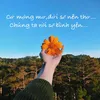 🍀Góc bình yên🍀
