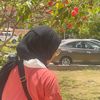 haneen4359