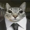 djcwastaken