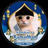 tamaaladil