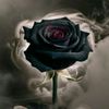artyqiandra.08