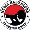 HALO BLORA