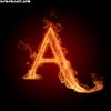 amarhzd0
