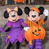 Disney World Package OrlandoFL
