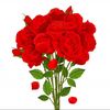 yahym4214