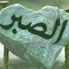 ahmedgnns