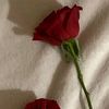 yousra9488